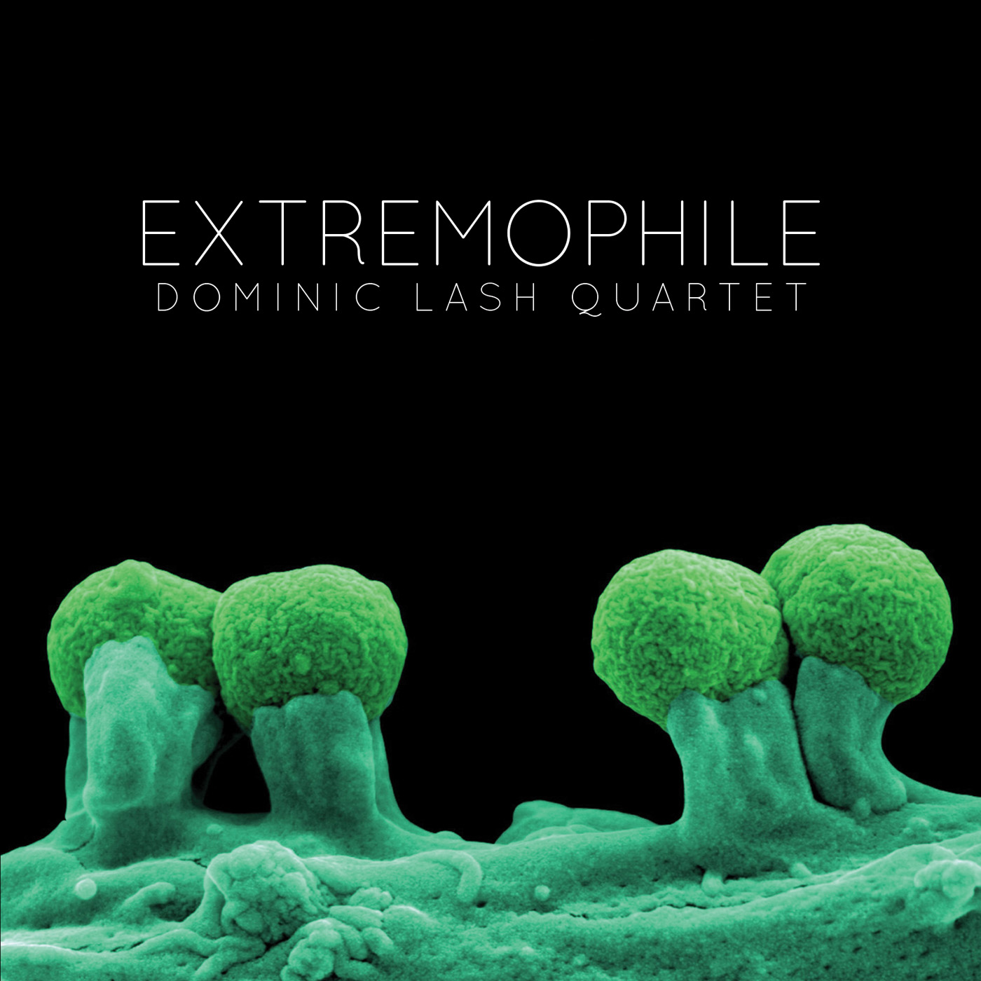  Extremophile by Dominic Lash Quartet