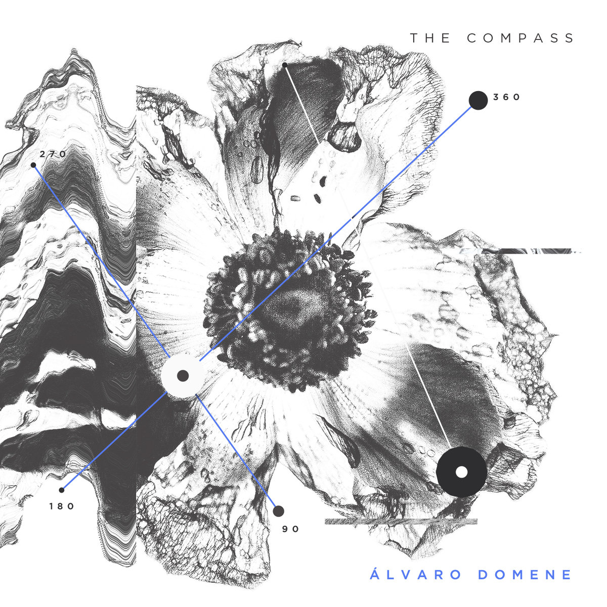 The Compass by Álvaro Domene